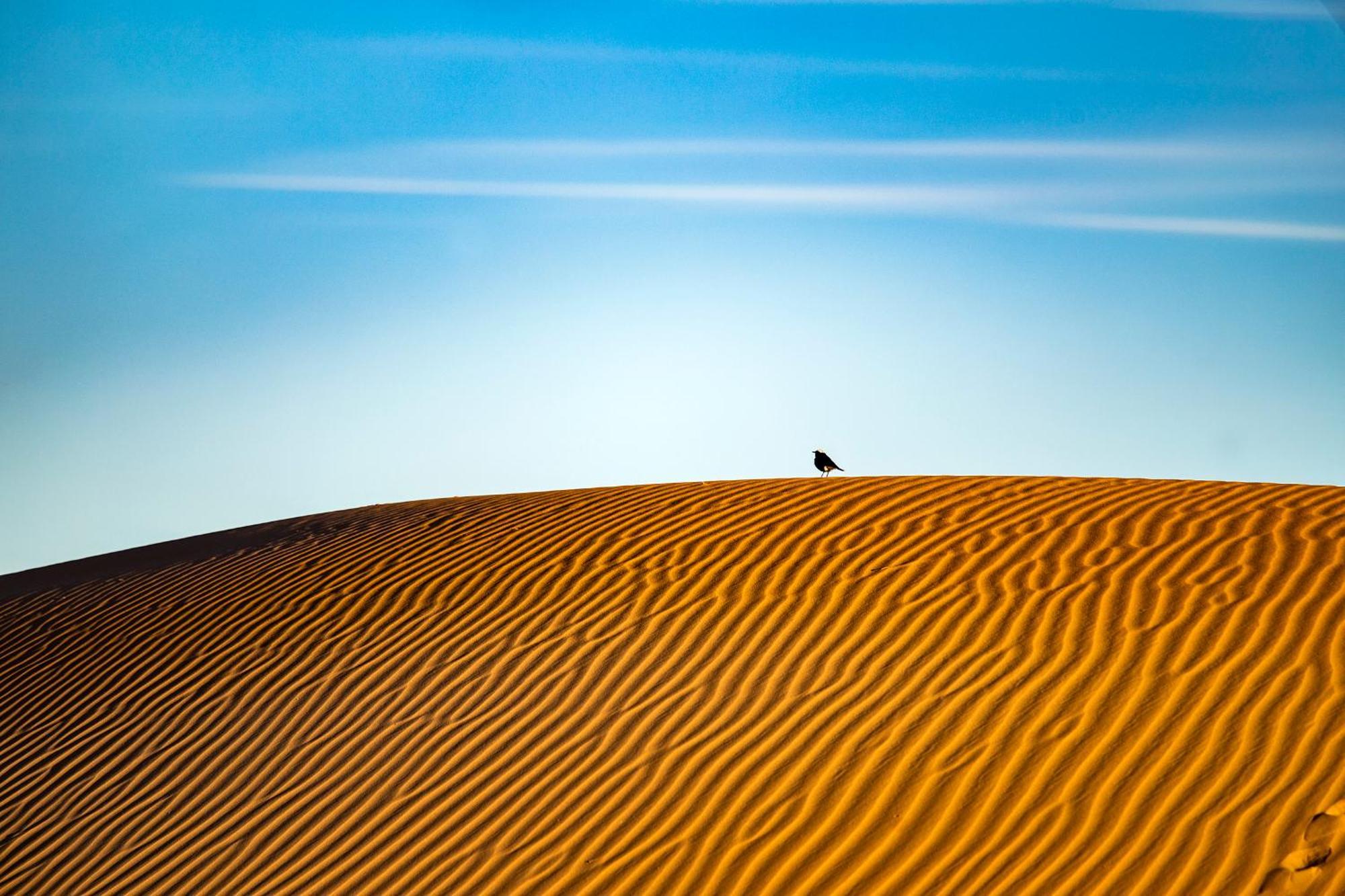 Kanz Erremal Merzouga Exterior photo